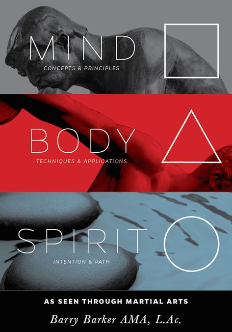 Smashwords – Mind-Body-Spirit: As Seen ... Mind Body And Spirit Tattoo, Mind Body Spirit Art, Mind Body Soul Tattoo, Mind Body Soul Spirit, Karate School, Zen Circle, Senior Thesis, Spirit Tattoo, Healing Codes