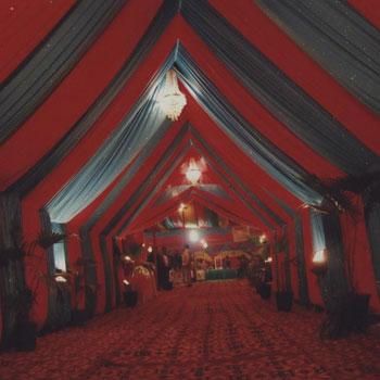 red and blue reception hall drapes, love the idea. Don't care for the colors, too dark. Carnival Tent, Circus Aesthetic, Halloween Circus, Circus Wedding, Circus Decorations, Dark Circus, Carnival Wedding, Night Circus, Circus Tent