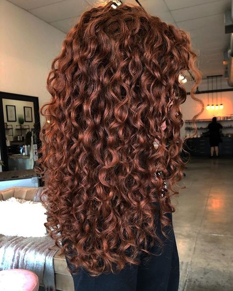 Copper Brown Hair, Dyed Curly Hair, Natural Curly Hair Cuts, Highlights Curly Hair, Red Curly Hair, Curly Hair Photos, Ginger Hair Color, Colored Curly Hair, Hair Color Auburn