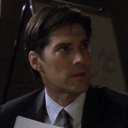 2000s Tv Shows, Behavioral Analysis Unit, Aaron Hotchner, Creepypasta Oc, Thomas Gibson, Behavioral Analysis, Crimal Minds, Federal Bureau Of Investigation, Girl Dinner