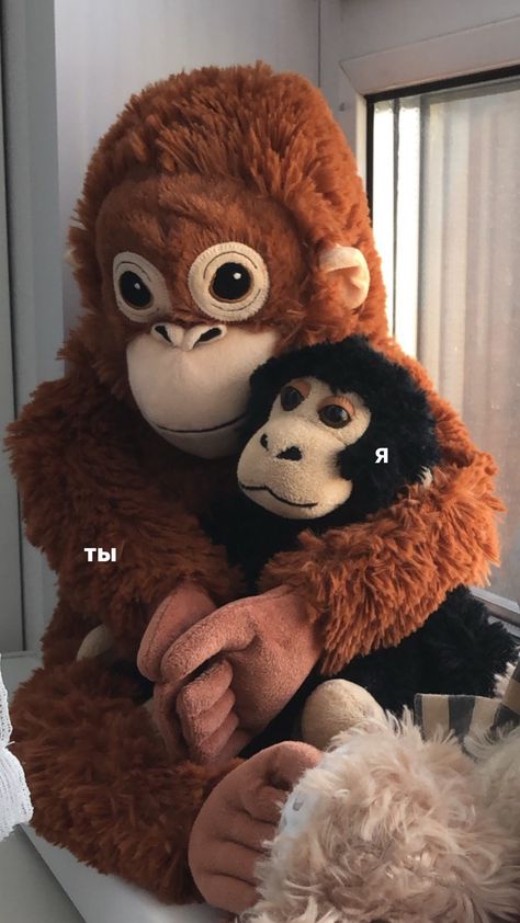 Monkey Aesthetic, Ikea Monkey, Monkey Cute, Cute Monkey Pictures, Monkey Monkey, Monkey Wallpaper, Monkey Doll, Monkey Pictures, Cute Mobile Wallpapers