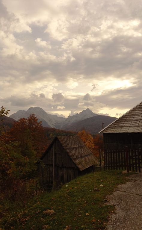 Autumn Mountains Wallpaper, Brown Mountain Aesthetic, Autumn Mountain Aesthetic, Moody Autumn Aesthetic, Brown Forest Aesthetic, Brown Wood Aesthetic, Cottage In The Woods Aesthetic, Green Fall Aesthetic, Fall Forest Aesthetic