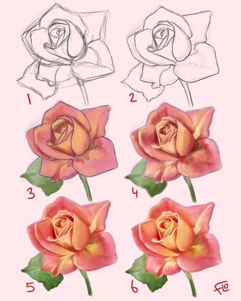 Flo Painting, Painting A Rose, How To Draw Roses, Art With Flo, Hur Man Ritar Blommor, Ako Kresliť, Drawing Instructions, Flower Drawing Tutorials, Flower Art Drawing