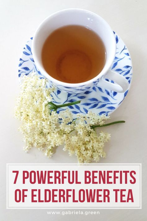 Find out which are the most powerful benefits of elderflower tea. Elderflower tea has strong antioxidant properties and antiviral effect, which make #tea #teabenefits #elderflower Elderflower Tea Recipe, Health Benefits Of Elderberry, Elderflower Magical Properties, Mint Tea Benefits, Elderberry Flower Tea, Elderflower Tea, Elderberry Tea, Fresh Mint Tea, Coconut Milk Coffee