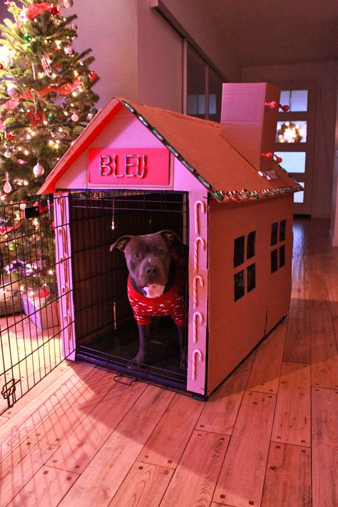 Dog Gingerbread House, Gingerbread Dog House, Cardboard Dog House, Christmas Dog House, Cardboard Gingerbread, Diy Christmas Yard Decorations, Cardboard Gingerbread House, Dog Christmas Pictures, Ginger Bread House Diy