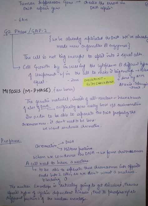 Cell Physiology|Cell cycle|Handmade Notes|Medical school|MBBS|1st year|1st semester|TUMS|Shiraz University of medical science|Tehran university of Medical science|Isfahan university of Medical science|Medical college|AIIMS|AFMC|Study with me|Glow up|In academics Mbbs 1st Year, Tehran University, Handmade Notes, Study With Me, Cell Cycle, 1st Year, Medical College, Medical Science, Shiraz