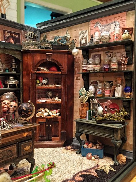 Dark Academia Dollhouse, Witch Dollhouse Diy, Witch Store, Witches Cottage, Halloween Diorama, Room Box Miniatures, Dollhouse Halloween, Witch Cottage, Haunted Dollhouse