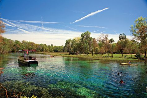 Fabulous Florida Springs Rainbow Springs State Park, Rainbow River, Rainbow Springs, Best All Inclusive Resorts, Florida Springs, Rock Springs, Florida Resorts, Park Ranger, Us Beaches