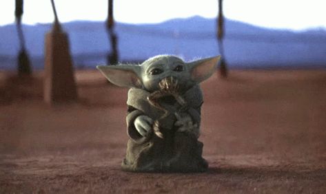 Baby Yoda Baby Yoda Eat GIF - BabyYoda BabyYodaEat Eat - Discover & Share GIFs Grogu Eating Frog, Yoda Funny, Film Journal, Laughter The Best Medicine, Star Wars Pictures, Star Wars Party, Animated Images, The Mandalorian, Boba Fett