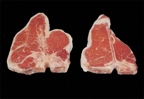 I think this is a better example showing the difference between a Porterhouse Steak and a T-Bone Steak. Beet Steaks, Beef Loin, Grilled Foods, Porterhouse Steak, T Bone Steak, Steak Cuts, Art Cafe, Paleo Beef, Grilling Tips