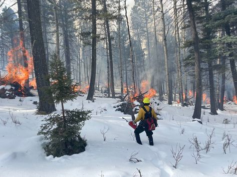 Prescribed burns can clear out undergrowth and reduce the risks of catastrophic wildfire. But the US Forest Service is studying whether increasingly hot and dry conditions make it harder to burn safely. Maurice Cruz/Forest Stewards GuildThe Forest Service is asking how it can both expand critical prescribed fire use, and do so safely in a warming world. The post Why the US Forest Service paused prescribed burns—a key wildfire prevention tool appeared first on Popular Science. Santa Fe National Forest, New Mexico History, Forest Conservation, Us Forest Service, Fire Escape, Popular Science, Forest Service, Forest Floor, National Forest