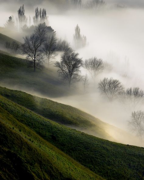 Mist Photography, Morning Fog, Caspar David Friedrich, Travel Wishlist, Beautiful Photos Of Nature, Landscape Trees, Background Pictures, Mountain Landscape, Early Morning