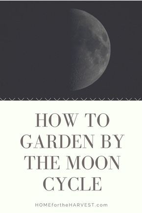 Gardening By The Moon, Biodynamic Gardening, The Moon Cycle, Winter Vegetables Gardening, How To Garden, Lunar Phases, Moon Cycle, Witch Garden, Garden Calendar