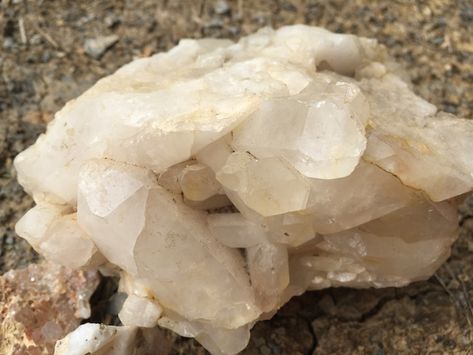 Digging Crystals in Arkansas | Only In Arkansas Digging For Crystals, Crystal Hunting, Crystal Mining, Gem Hunting, Arkansas Vacations, Gem Hunt, Rock Identification, Arkansas Travel, Fossil Hunting