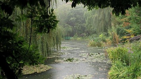 Monet Garden Giverny, Lily Garden, Nature Aesthetic, Pretty Places, Water Lilies, Green Aesthetic, Mother Earth, Pretty Pictures, Secret Garden