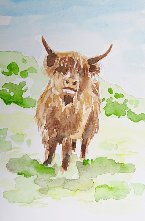 Cow Watercolor, Watercolor Highland Cow, Highland Cow Sketch, Watercolor Cows Painting, Cows Watercolor, Watercolour Cow, Watercolour Cow Easy, Watercolour Highland Cow, Highland Cow Watercolour Easy