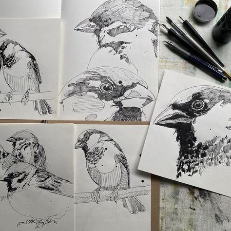 Jenny Mccabe, Contemporary Printmaking, Sketch Study, Stamp Print, Nature Sketch, Cry Out, Stamp Printing, Mark Making, Bird Prints