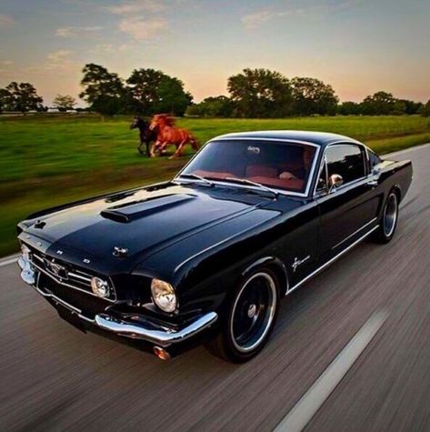 Old Mustang, 240z Datsun, Vintage Auto's, Wallpaper Luxury, Old Vintage Cars, Cars Vintage, Mustang Cars, Classy Cars, Pretty Cars