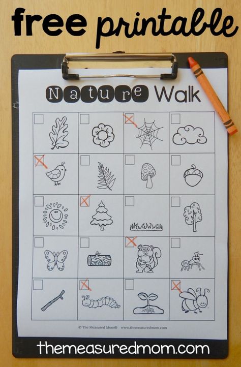 FREE printable nature walk scavenger hunt. Perfect fall activity for kids! Walk Scavenger Hunt, Nature Walk Scavenger Hunt, Nature Scavenger Hunt, Measured Mom, Autumn Activities For Kids, Scavenger Hunts, Nature Walk, Outdoor Classroom, Tot School