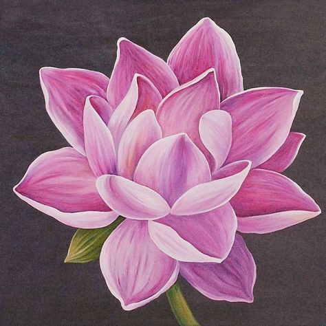 Doodles Sharpie, Flower Painting Videos, Lotus Flower Drawing, Botanic Painting, Lotus Flower Painting, Pink Flower Painting, Lotus Flower Art, Lotus Painting, Carpe Koi