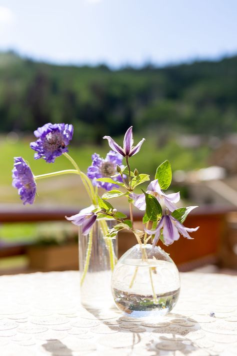 Purple lavender scabiosa, purple clematis bud vase cocktail centerpiece Purple Bud Vases, Wedding Cocktail Tables Centerpiece, White Wildflower Wedding, Lavender Scabiosa, Wedding Cocktail Table, Bar Arrangement, Cocktail Table Centerpieces, Sept Wedding, Wedding Cocktail Tables