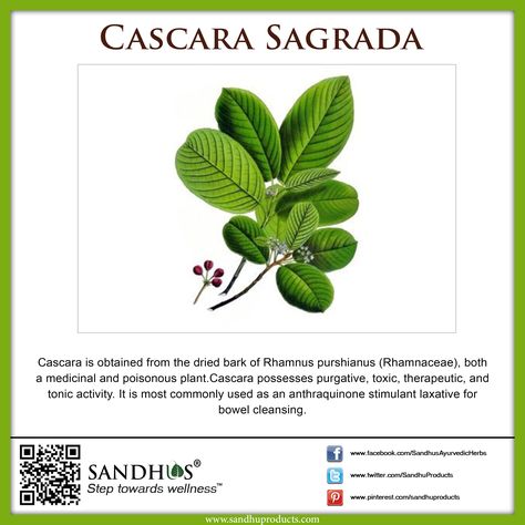 Cascara Sagrada Benefits, Parasite Cleanse, Poisonous Plants, Fruit Seeds, Parts Of A Plant, Promote Book, Holistic Healing, Medicinal Plants, Holistic Health