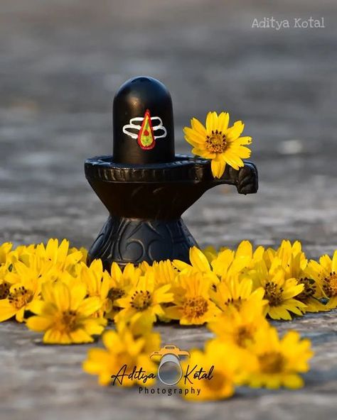 Beautiful Shivling Images, Shivudu God Photos, Sivan Lord, Shivling Images, Lord Shiva Images, Shivratri Wallpaper, Flowers Dp, Mahadev Shiva, Cracked Wallpaper