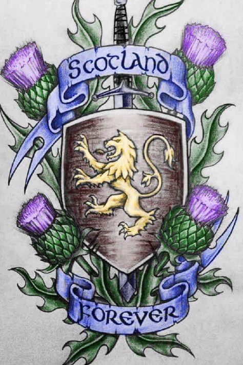 Scottish Tattoos, Flower Of Scotland, Forever Tattoo, Scottish Music, Symbole Viking, Scotland History, Scottish Ancestry, Scotland Forever, Celtic Heritage