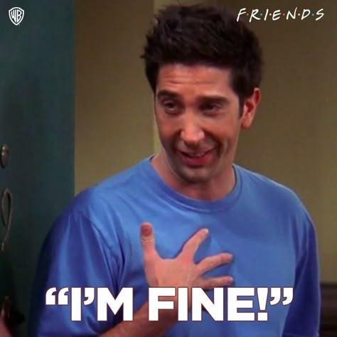 ICONIC Friends Mood Pics, Friends Memes Show Funny, Ross I'm Fine, Ross Im Fine, Meme Friends, Friends Meme, Friends Tv Quotes, Friends Best Moments, Friends Scenes