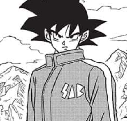 Goku And Vegeta Matching Wallpapers, Goku And Vegeta Duo Pfp, Goku And Vegeta Matching Pfp, Vegeta Ue And Goku Mui, Goku And Vegeta Manga, Goku Vegeta Fusion, Goku And Vegeta Manga Panel, Dbz Vegeta, Goku Manga