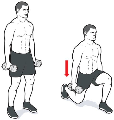 Dumbbell Reverse Lunge | #Fitness #Workout Home Weight Workout, Lunge Workout, Workout Pics, Workout Routine For Men, Muscle Building Workouts, Men's Health Fitness, Reverse Lunges, Heath And Fitness, Bodyweight Workout Beginner