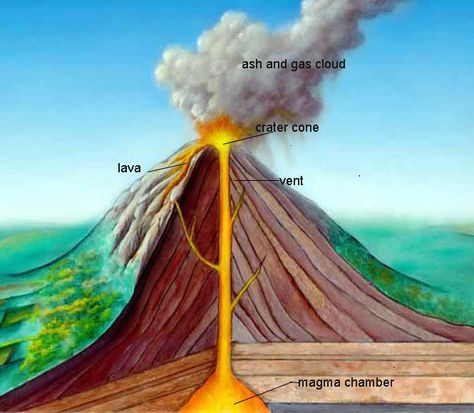 Vulcanoes. Parts Of A Volcano, See Think Wonder, Volcano Projects, Shield Volcano, 6th Grade Science, Plate Tectonics, Classical Conversations, Science Resources, Homeschool Science