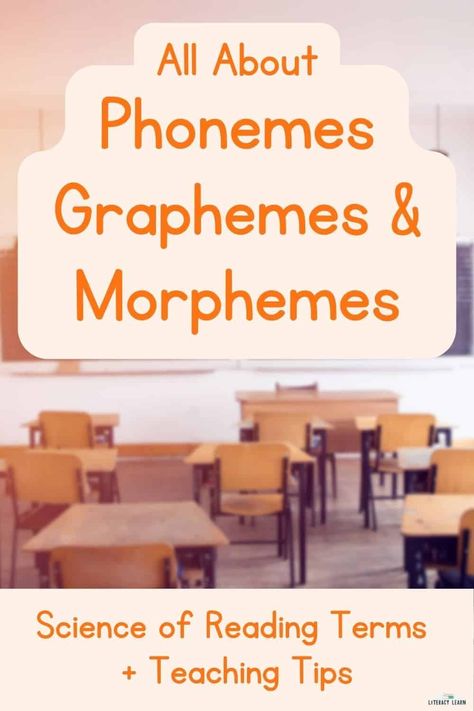 Morphemes Teaching, Spelling Practice Activities, Teaching Digraphs, Teaching Sound, Phonemic Awareness Kindergarten, Phonics Cvc, Phonological Awareness Activities, Multisensory Activities, Multisyllabic Words