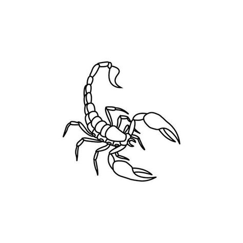 Drawing Of A Scorpion, Squirpion Tattoo, Scorpion Linework, Scorpion Minimalist Tattoo, Scorpion Drawing Simple, Little Scorpion Tattoo, Simple Scorpion Tattoo, Scorpion Tattoo Stencil, Small Scorpion Tattoo