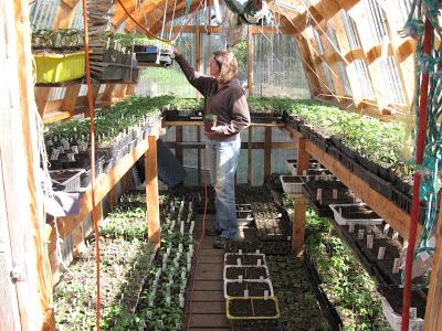 Greenhouse Trees, Greenhouse On Platform, Greenhouse Planting Layout, Inside Greenhouse Ideas, Planting Layout, Build A Greenhouse, Greenhouse Interiors, Home Greenhouse, School Yard