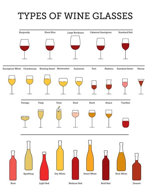 Types of Wine Glasses Explained: A Comprehensive Guide Types Of Wine Glasses, Types Of Red Wine, Red Desserts, Different Types Of Wine, Fun Wine Glasses, Wine Knowledge, Expensive Wine, Wine Guide, Cheap Wine