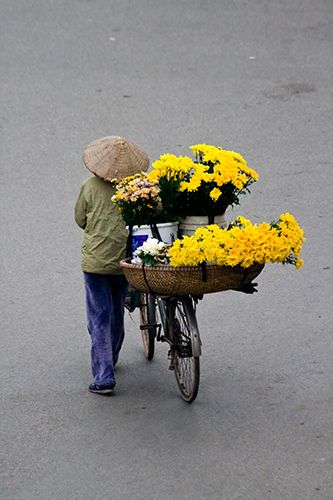 Flower Seller, Bike With Basket, Beautiful Vietnam, Vietnam Art, Flowers For Sale, Colourful Flowers, Flowers Photo, Jolie Photo, People Of The World