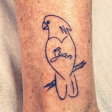 Parakeet Tattoo, Cockatoo Tattoo, Parrot Tattoo, Tattoo Outline, Fine Line Tattoos, Line Tattoos, Tattoos And Piercings, Infinity Tattoo, My Son