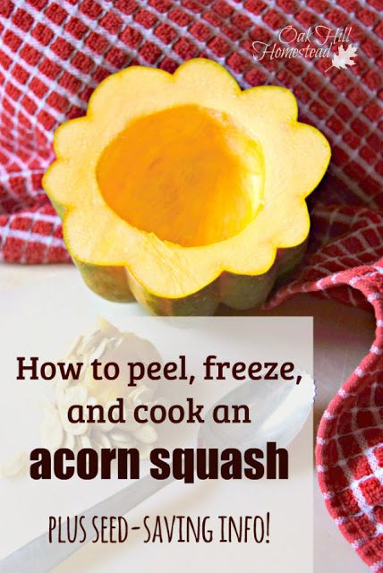 How to freeze and cook an acorn squash, and how to save its seeds to plant in next year's garden. Acorn Squash Seeds, Acorn Squash Recipes Healthy, Freezing Squash, Freezing Veggies, Squash Butternut, Freezing Vegetables, Food Preserving, Freezer Food, Canning Ideas