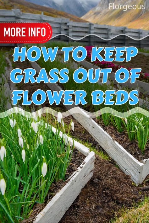 Keep Grass Out of Flower Beds Types Of Mulch, Bermuda Grass, Types Of Grass, Plant Tissue, Landscape Fabric, Grass Seed, Garden Borders, Garden Bed, Mulch