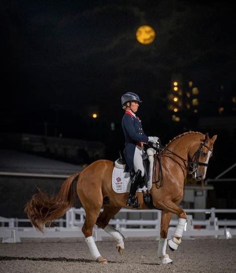 Horses To Draw, Sarah Stone, Horse Lifestyle, Charlotte Dujardin, Dressage Competition, Pictures Of Horses, Horse And Human, 2020 Olympics, Equestrian Fashion