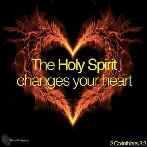 Romans 5:5 And hope makes not ashamed; because the love of God is shed abroad in our hearts by the Holy Ghost which is given to us. Romans 5 5, Woord Van God, Ayat Alkitab, Jesus Christus, Holy Ghost, The Holy Spirit, God Jesus, Faith In God, Jesus Loves