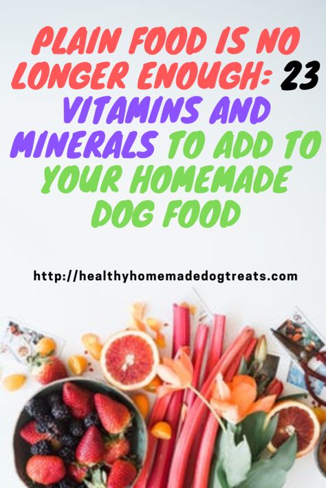 Plain Food, Human Grade Dog Food, Dog Vitamins, Diy Dog Food, Make Dog Food, Healthy Dog Treats Homemade, Dog Health Tips, Raw Dog Food Recipes, People Food