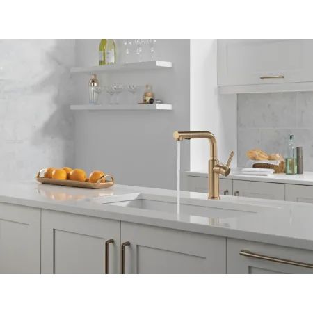 Delta 16879-SS-DST Daneri 1.8 GPM Single Handle Pull Out | Build.com Delta Kitchen Faucet, Delta Trinsic, Navigation Design, Water Control, Pull Out Faucet, Kitchen Pulls, Connected Home, Delta Faucets, Champagne Bronze