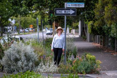 Verge Garden, Australia Animals, Melbourne House, Bee Garden, Australian Native, Yet To Come, Landscape Architect, Hedges, Garden Projects