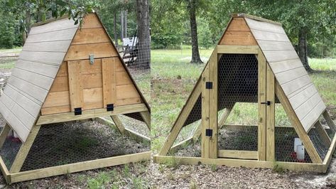 A Frame Coop, A Frame Chicken Coop Plans, Frame Chicken Coop, A Frame Chicken Coop, Shed Roof Design, Quail Coop, Farm Property, Small Chicken Coops, Chicken Tractors