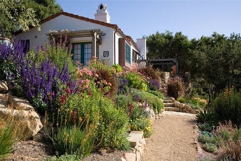 California Landscaping, Xeriscape Landscaping, Landscaping On A Hill, Lawn Alternatives, Drought Tolerant Garden, Drought Tolerant Landscape, Front Yard Design, Mediterranean Landscaping, California Garden