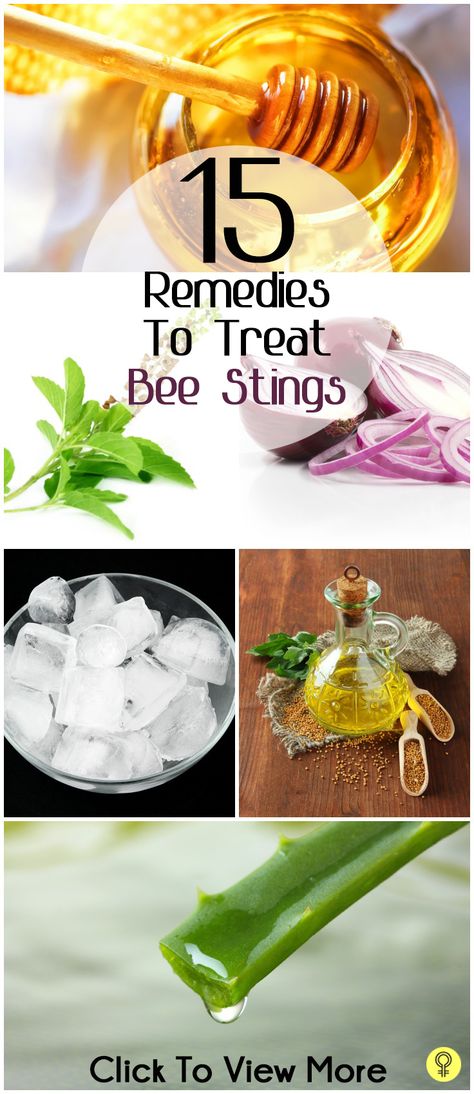 15 Simple Home Remedies To Treat Bee Stings. The yellow jackets have an attitude this time of year, and a family member was stung today. We used the ACV, and it's definitely relieving the pain and swelling. Remedies For Bug Bites, Treating Bee Stings, Remedies For Bee Stings, Bug Bites Remedies, Pineapple Health Benefits, Bee Sting, Yellow Jackets, Diy Remedies, Bug Bites