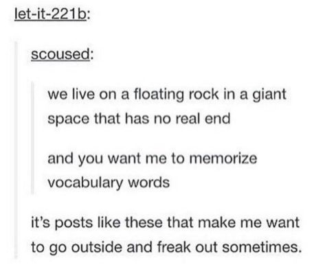 we live on a floating rock in a giant space that has no end Text Posts Tumblr, Rock Quotes, Bad Jokes, You Want Me, Vocabulary Words, Text Posts, Tumblr Posts, Go Outside, Popular Memes