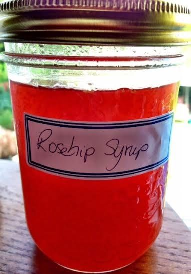 Rosehip Syrup Recipe, Homemade Tinctures, Rosehip Recipes, Rosehip Syrup, Recipes Apples, Homestead Canning, Rosehip Tea, Diy Medicine, Herbal Health